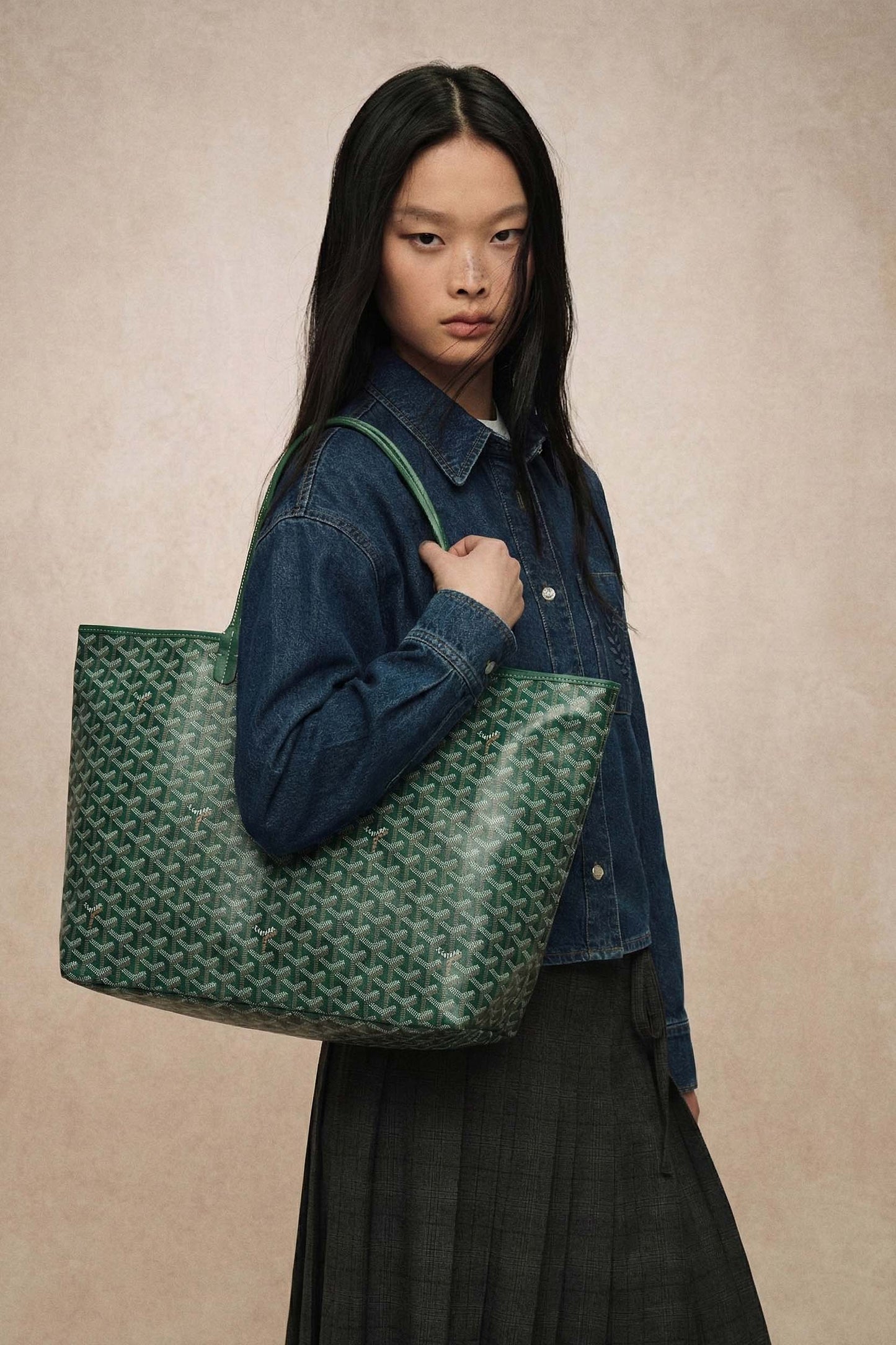 Goyard Saint Louis GM Bag