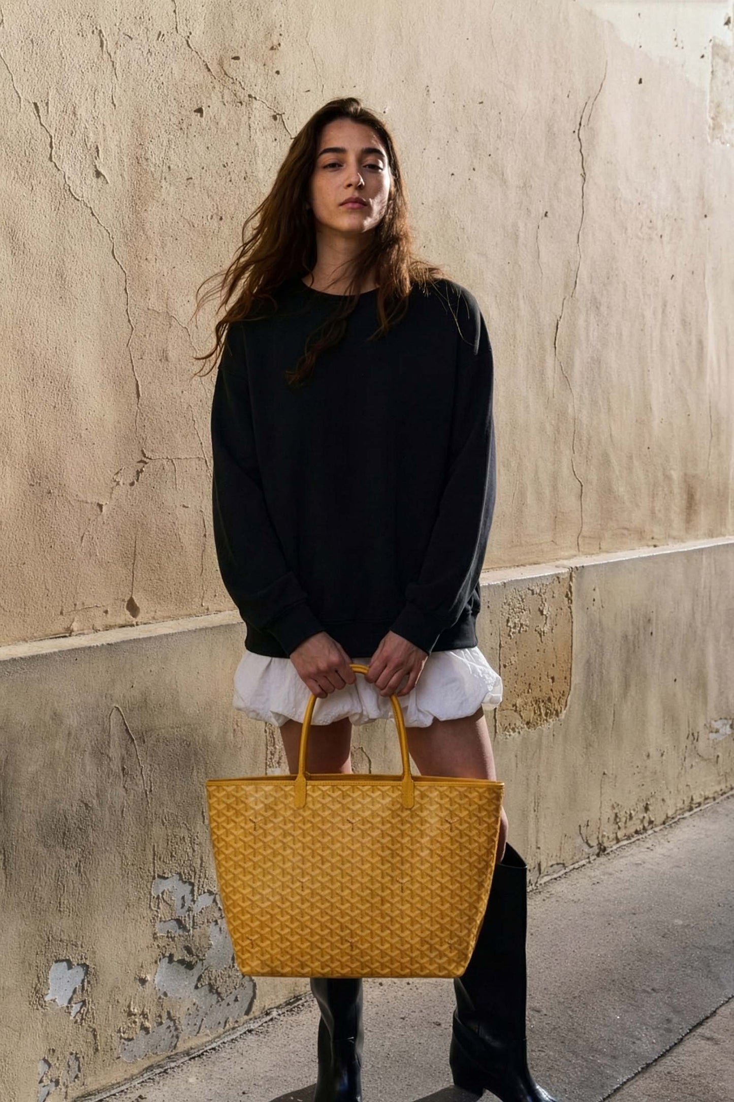 Goyard Saint Louis GM Bag