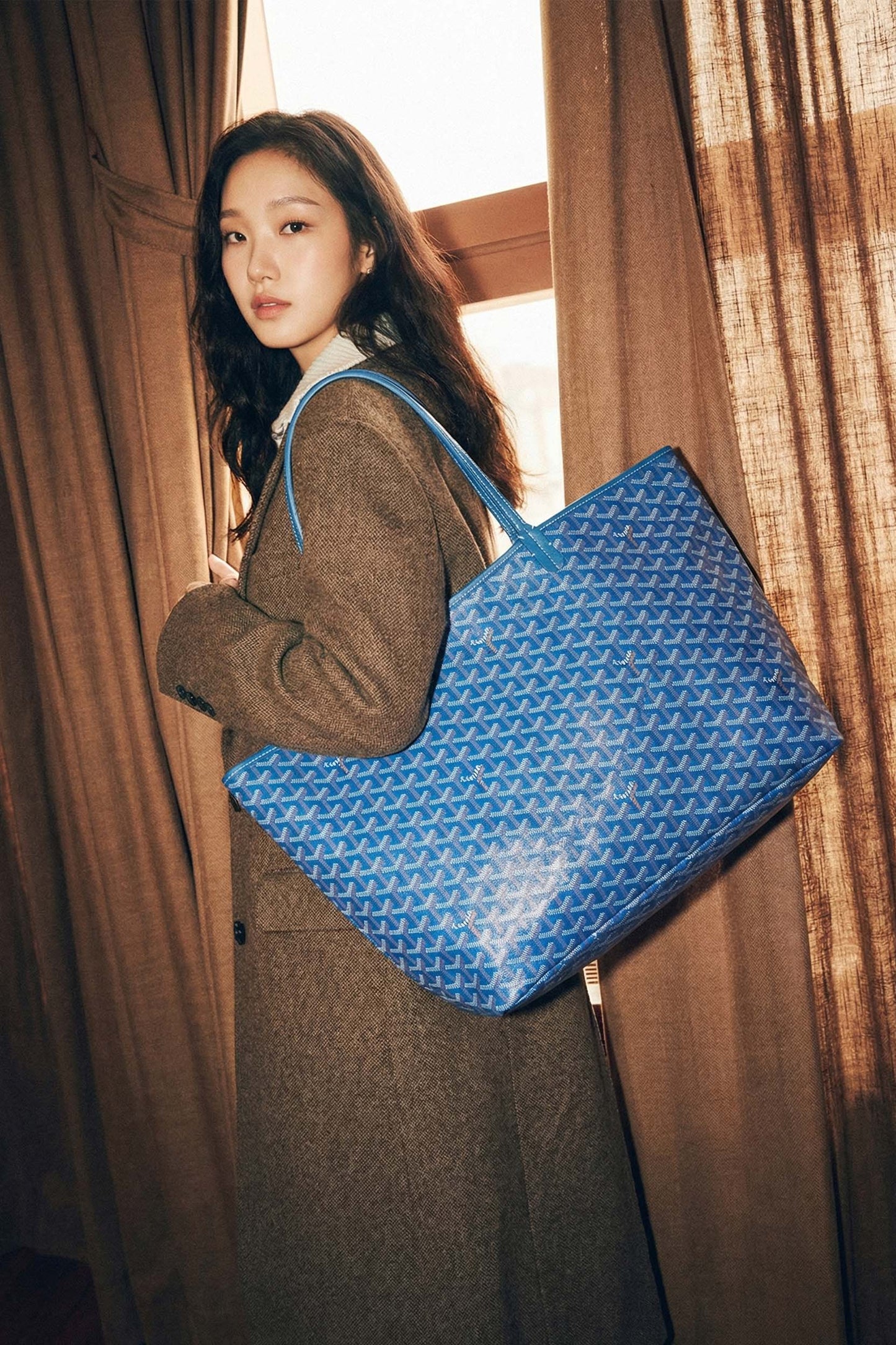 Goyard Saint Louis GM Bag