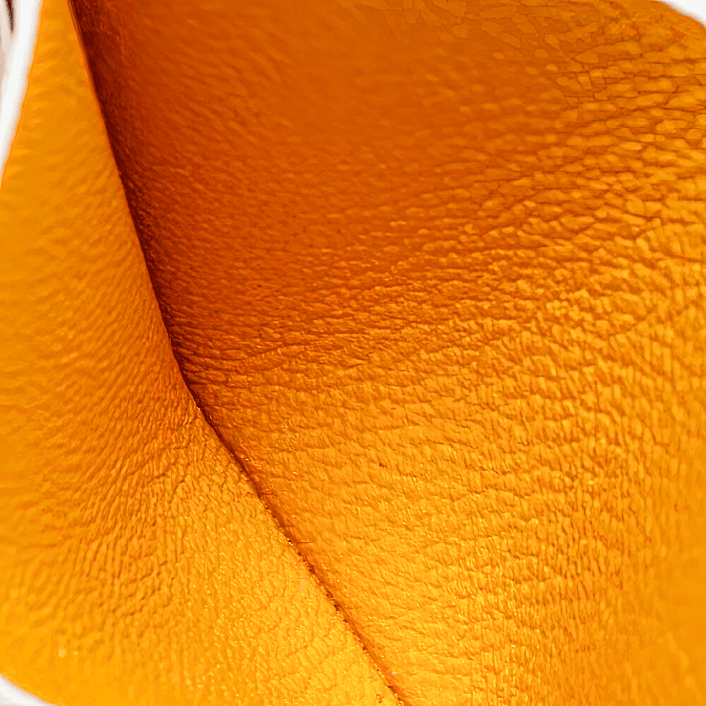 Goyard Saint-Sulpice Card Wallet