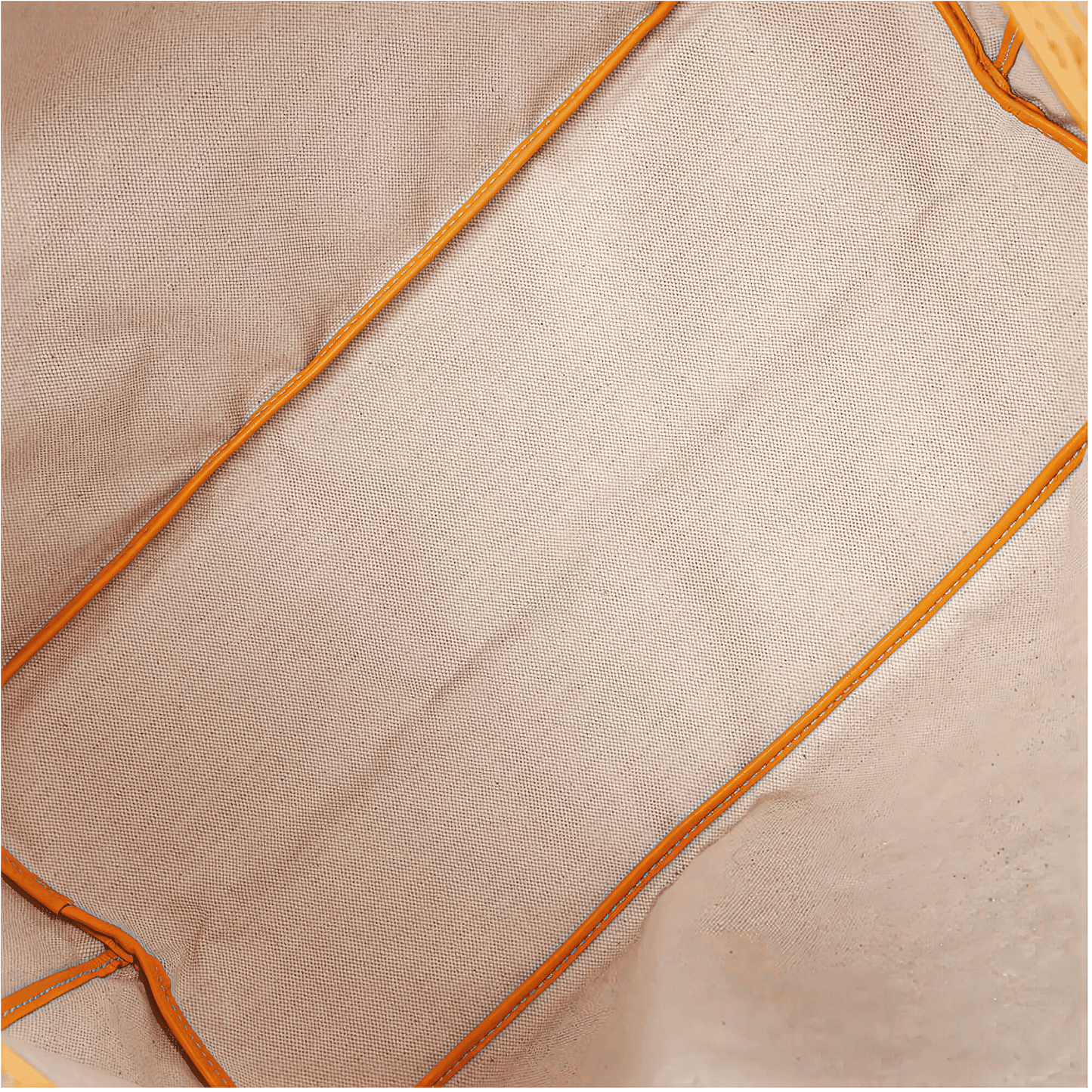 Goyard Saint Louis GM Bag